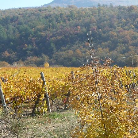 Podere Poggio Mendico Villa Arezzo Buitenkant foto