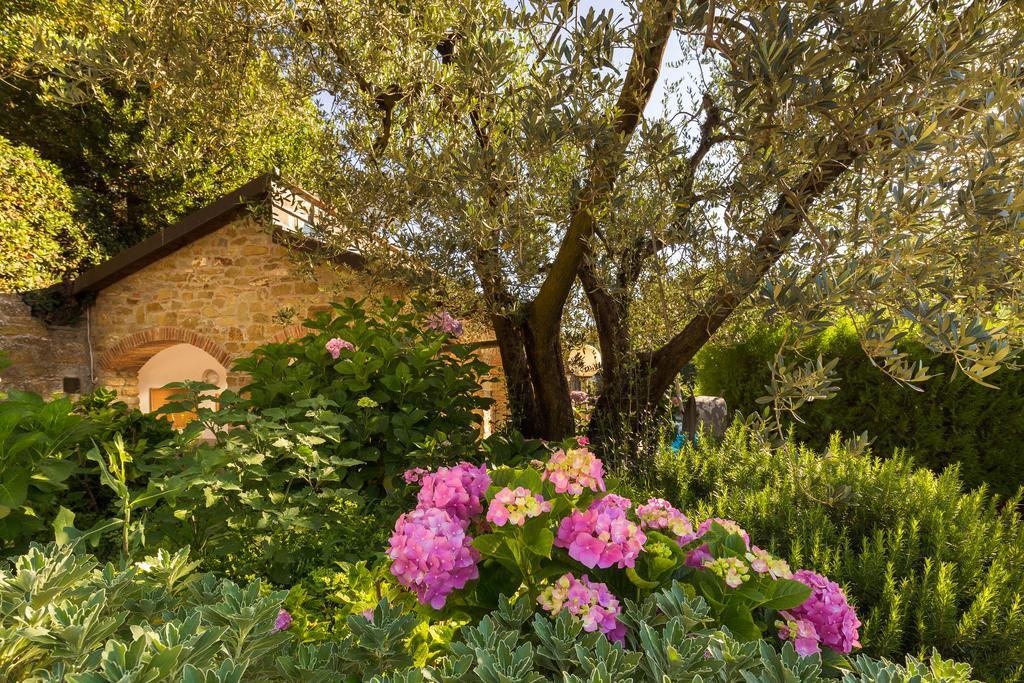 Podere Poggio Mendico Villa Arezzo Buitenkant foto