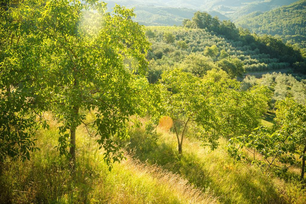 Podere Poggio Mendico Villa Arezzo Buitenkant foto