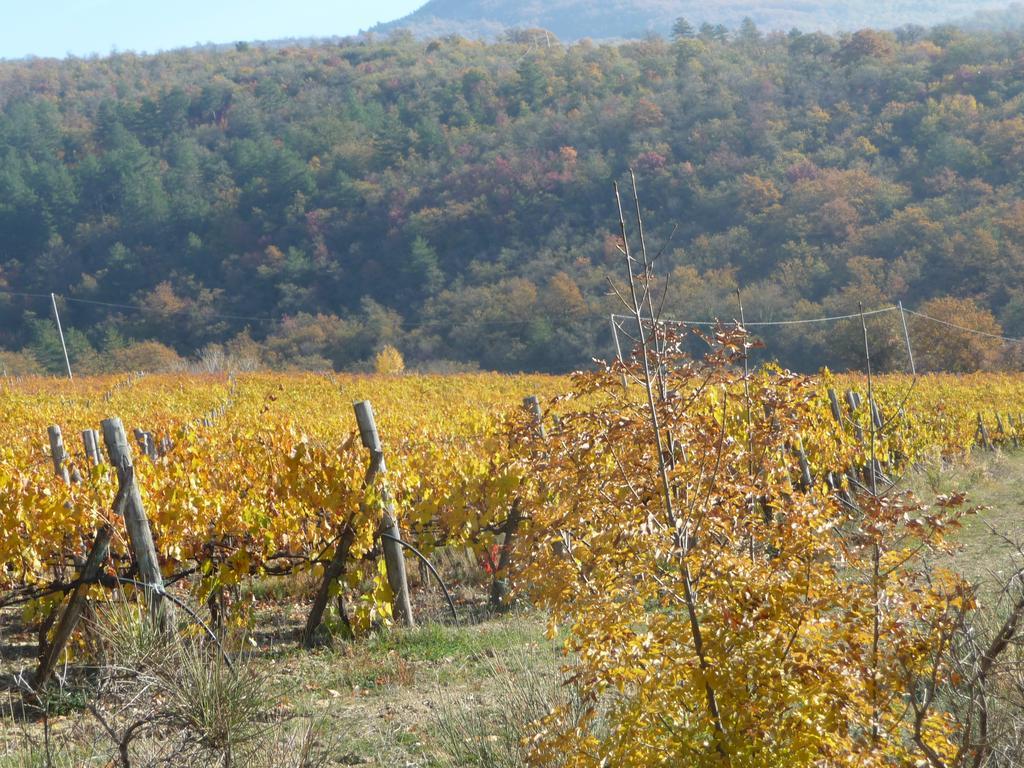 Podere Poggio Mendico Villa Arezzo Buitenkant foto