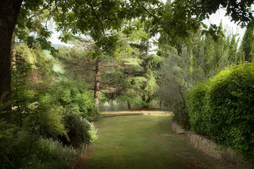 Podere Poggio Mendico Villa Arezzo Buitenkant foto